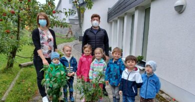 Kindergarten Gartenprojekt