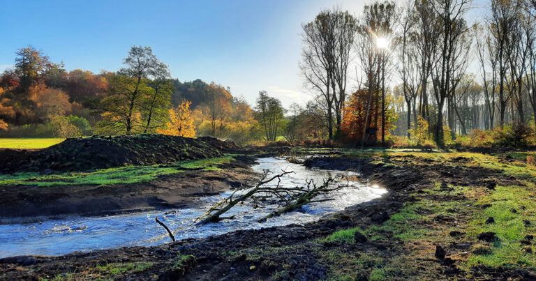 Alme Ringelstein Renaturierung der Almeaue 1