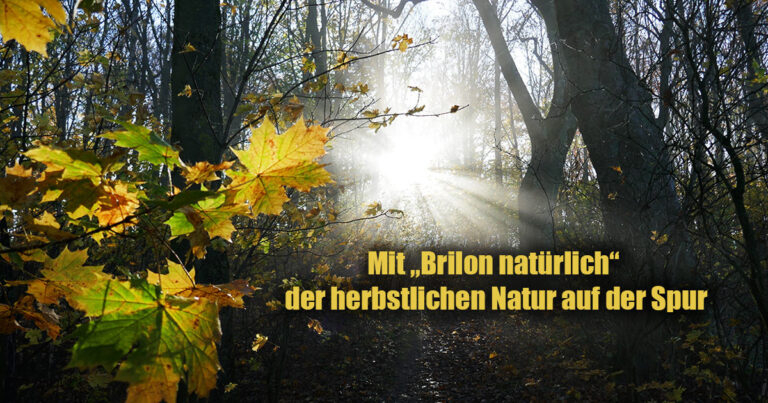 Brilon natuerlich