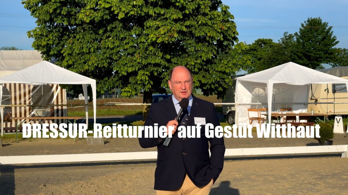 DRESSUR Reitturnier auf Gestut Witthaut Sonntagmorgen 730 Uhr