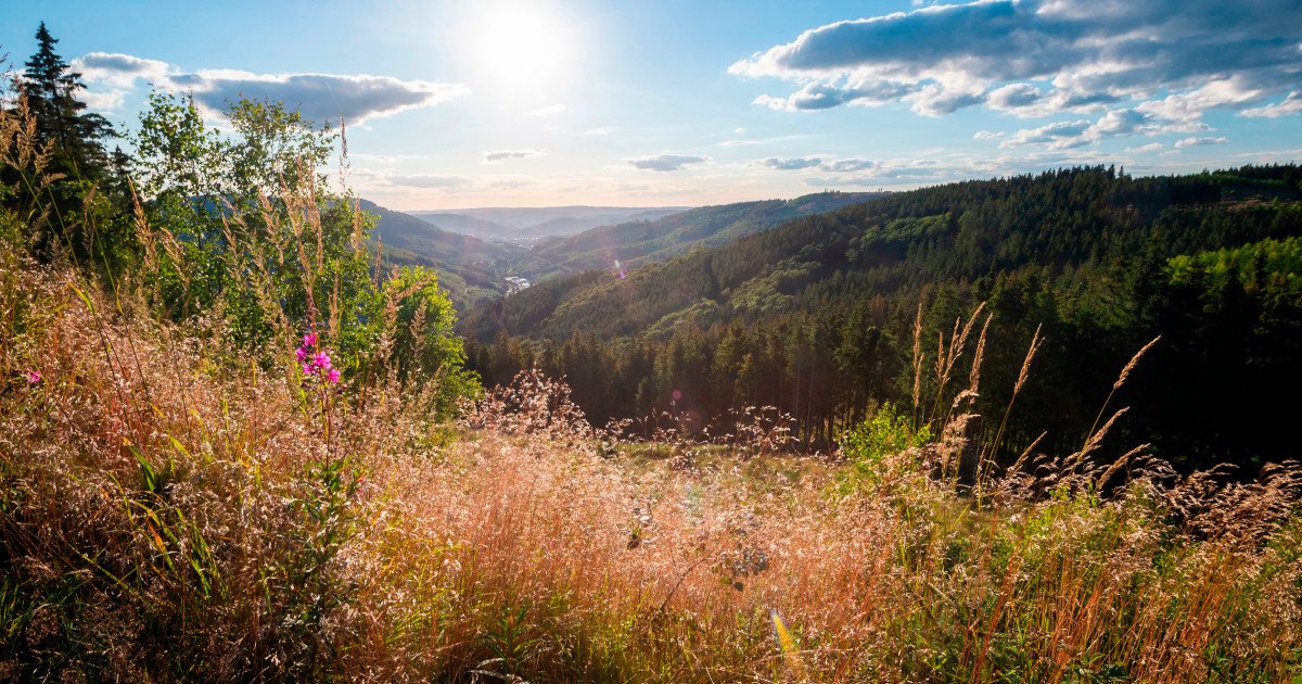 Urlaubsregion Brilon und Olsberg